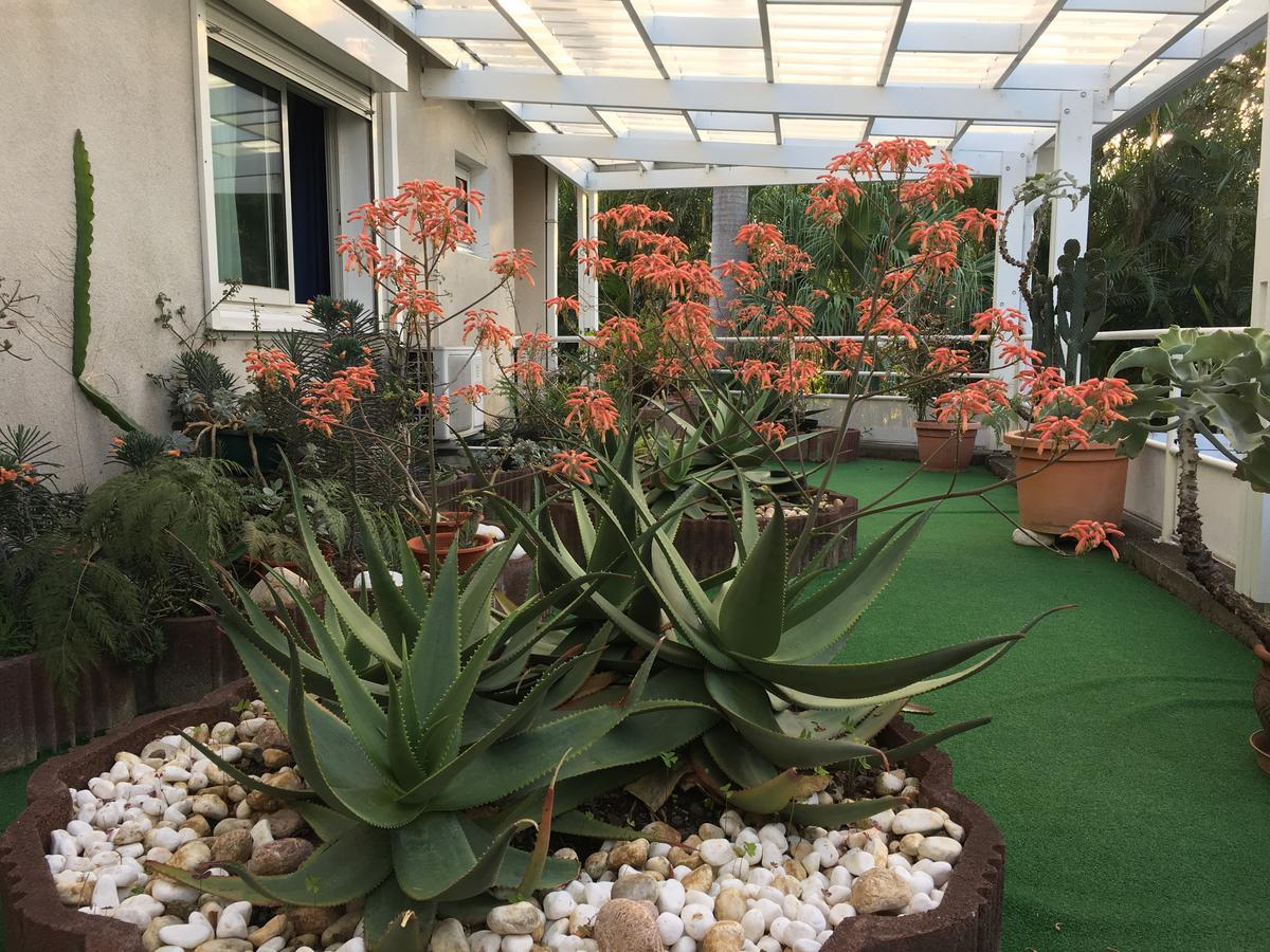 Hotel Residence Le Phoenix سانت بيير المظهر الخارجي الصورة
